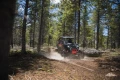 01696_343a915157d832bc1d57e58f1f516756.webp