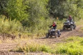 00673_3455b7cb1afaf9f3ad414a86630792f6.webp
