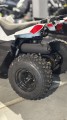 IMG_2401.JPEG