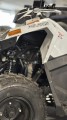 IMG_2411.JPEG