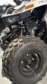 IMG_2412.JPEG