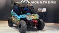 rzr200 mncrft (3).jpeg
