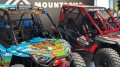 rzr200 mncrft (11).jpeg