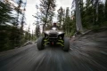 01408_621925789eba35f1e190ae859bfab789.webp