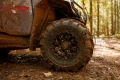 pro xp sport2.webp