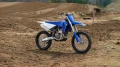 mxtop.webp