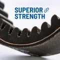 polaris_belts_strength_1500.webp