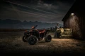 01739_429e1a5de379829388fb1690e7861bf5.webp