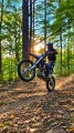 zx_250_wheelie_forest.webp.webp