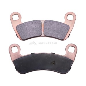 Klocki hamulcowe tylne do POLARIS RZR PRO XP Nr 2208161