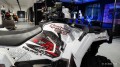 POLARIS SPORTSMAN 570 Skorpion (1).jpg